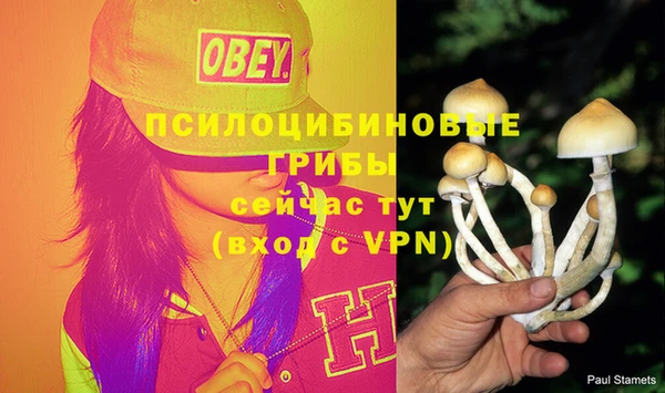 меф Арсеньев