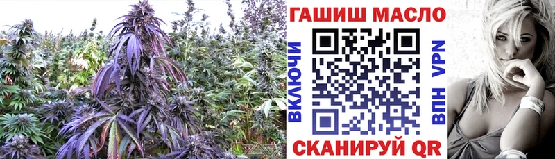 ТГК вейп  купить   Моршанск 