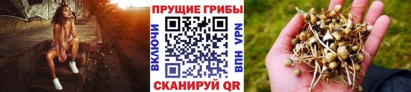 Галлюциногенные грибы ЛСД Моршанск