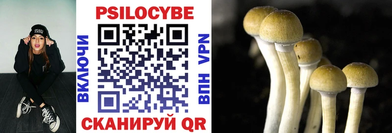 мега сайт  Моршанск  Псилоцибиновые грибы Magic Shrooms 